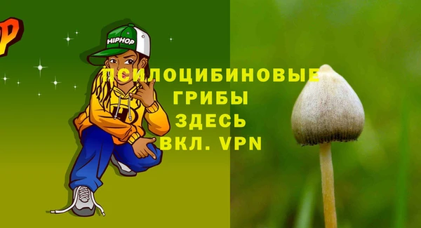 молекула духа Алексин