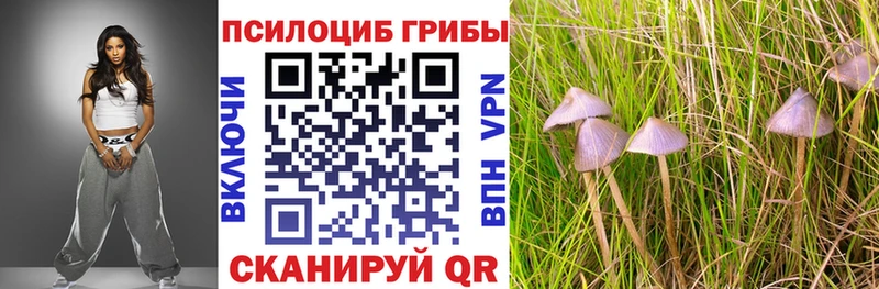 Псилоцибиновые грибы MAGIC MUSHROOMS  mega онион  Тихвин  цена наркотик 